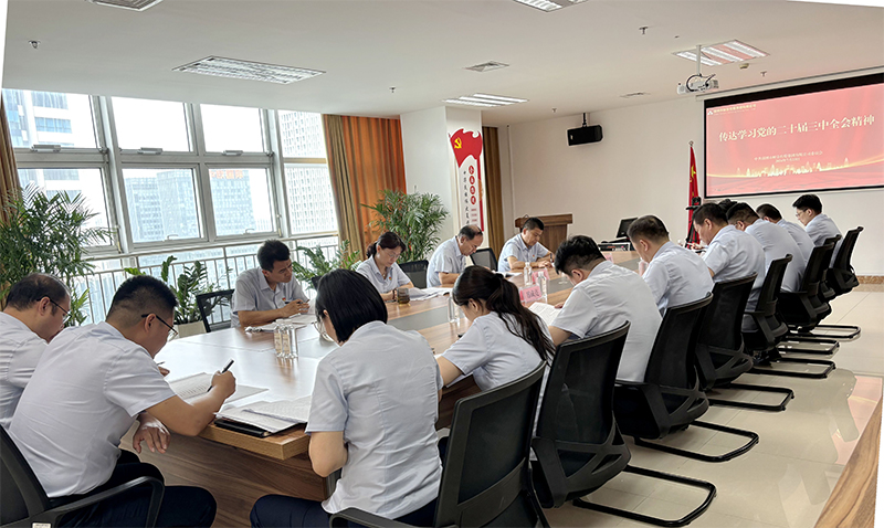 英国威廉希尔官网召开党委扩大会议 传达学习党的二十届三中全会精神